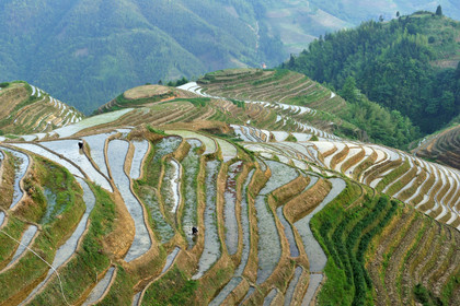 Chine, Longsheng