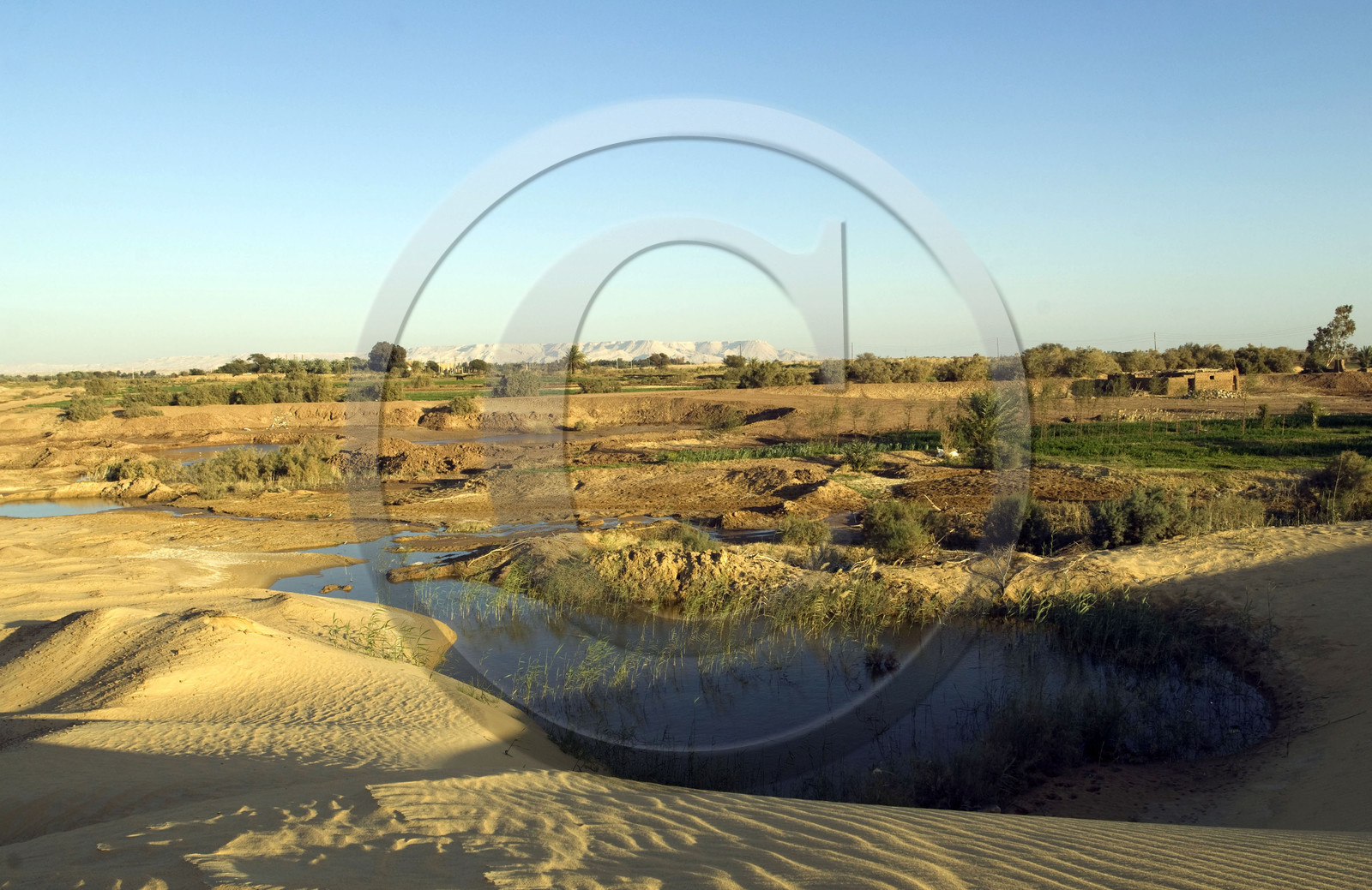 Egypte, Dakhla