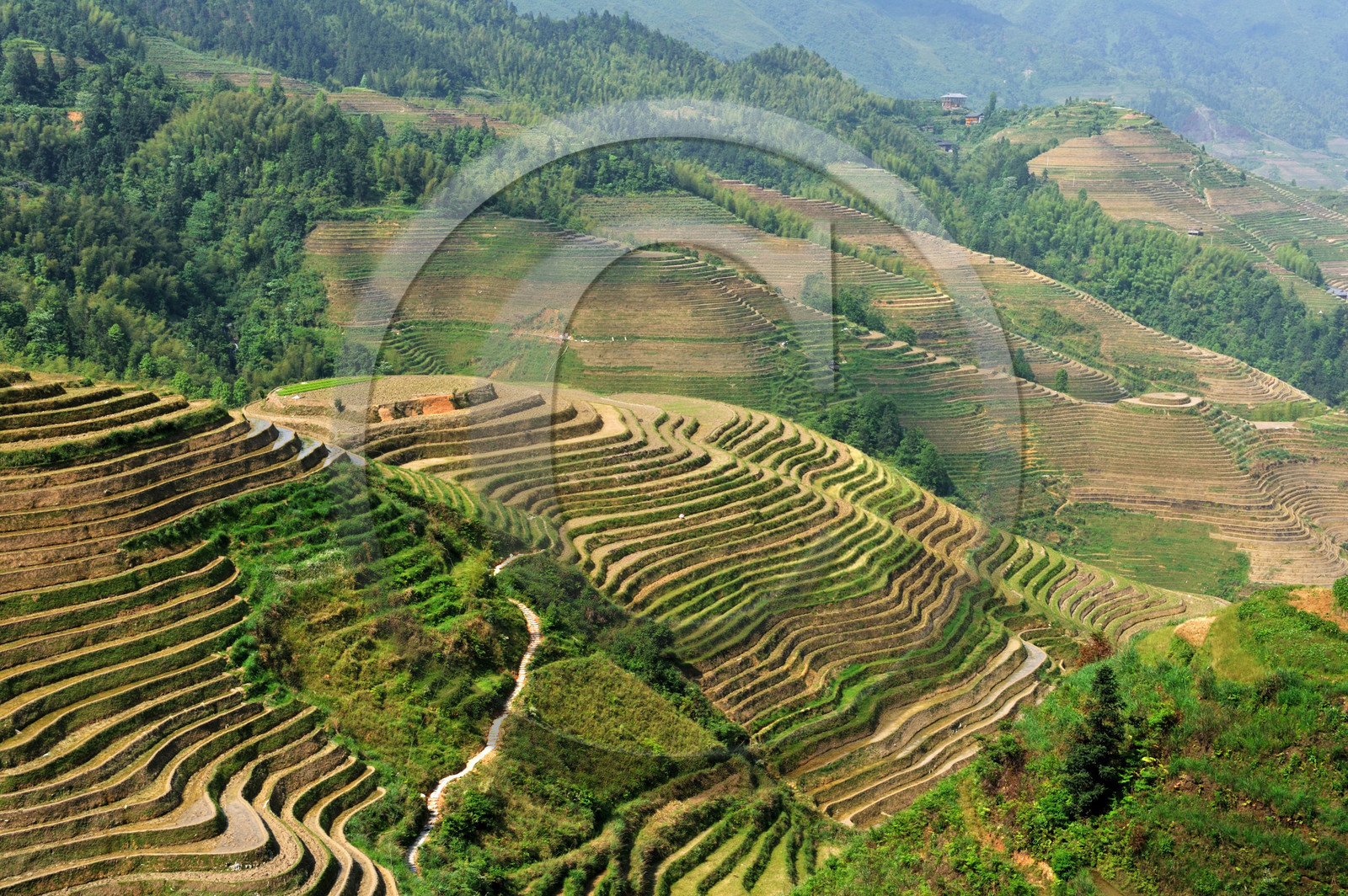 Chine, Longsheng