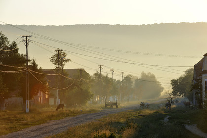 Roumanie, Viscri