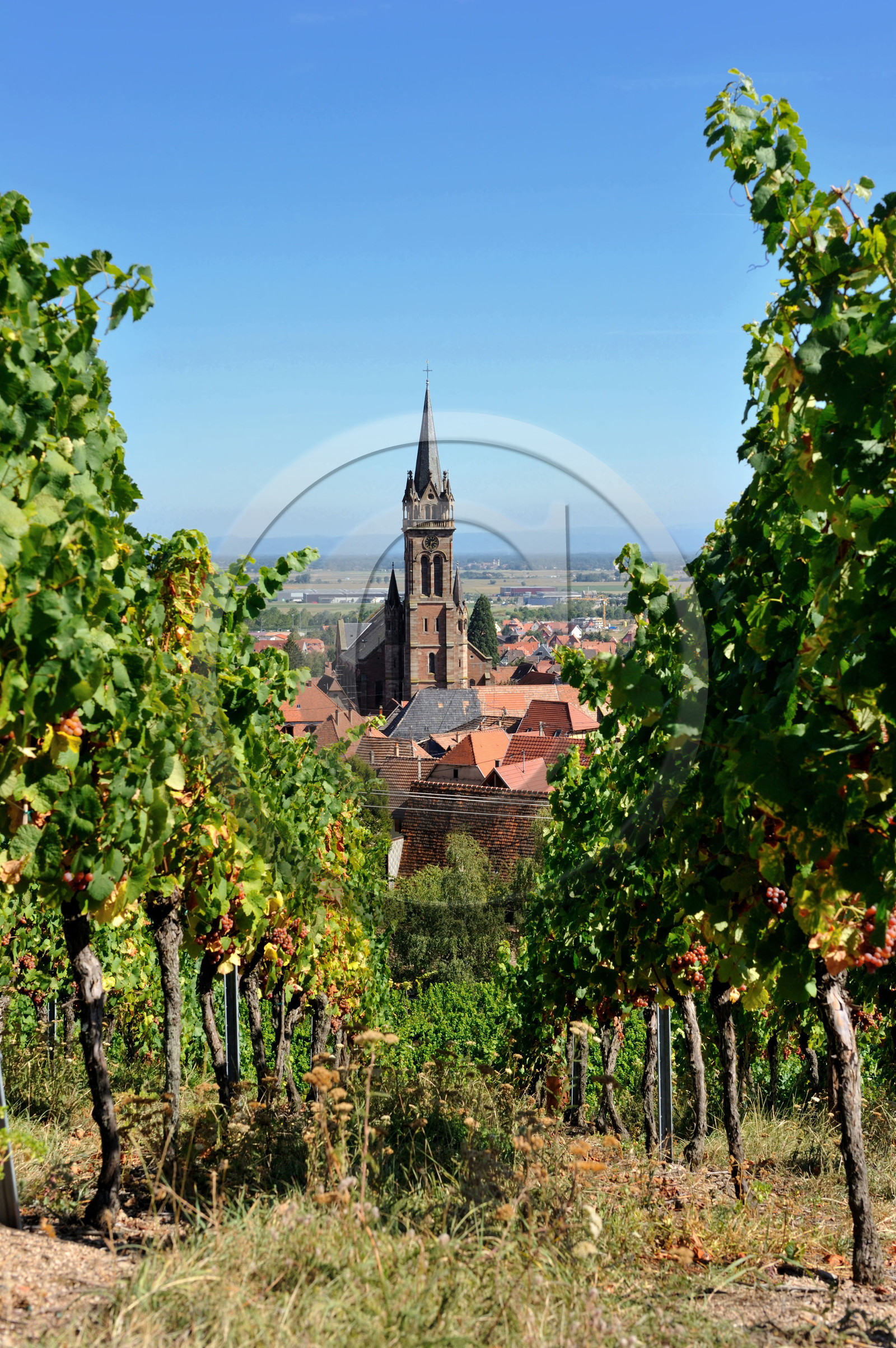 France, Alsace