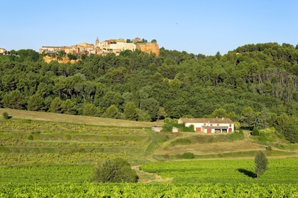 France, Roussillon
