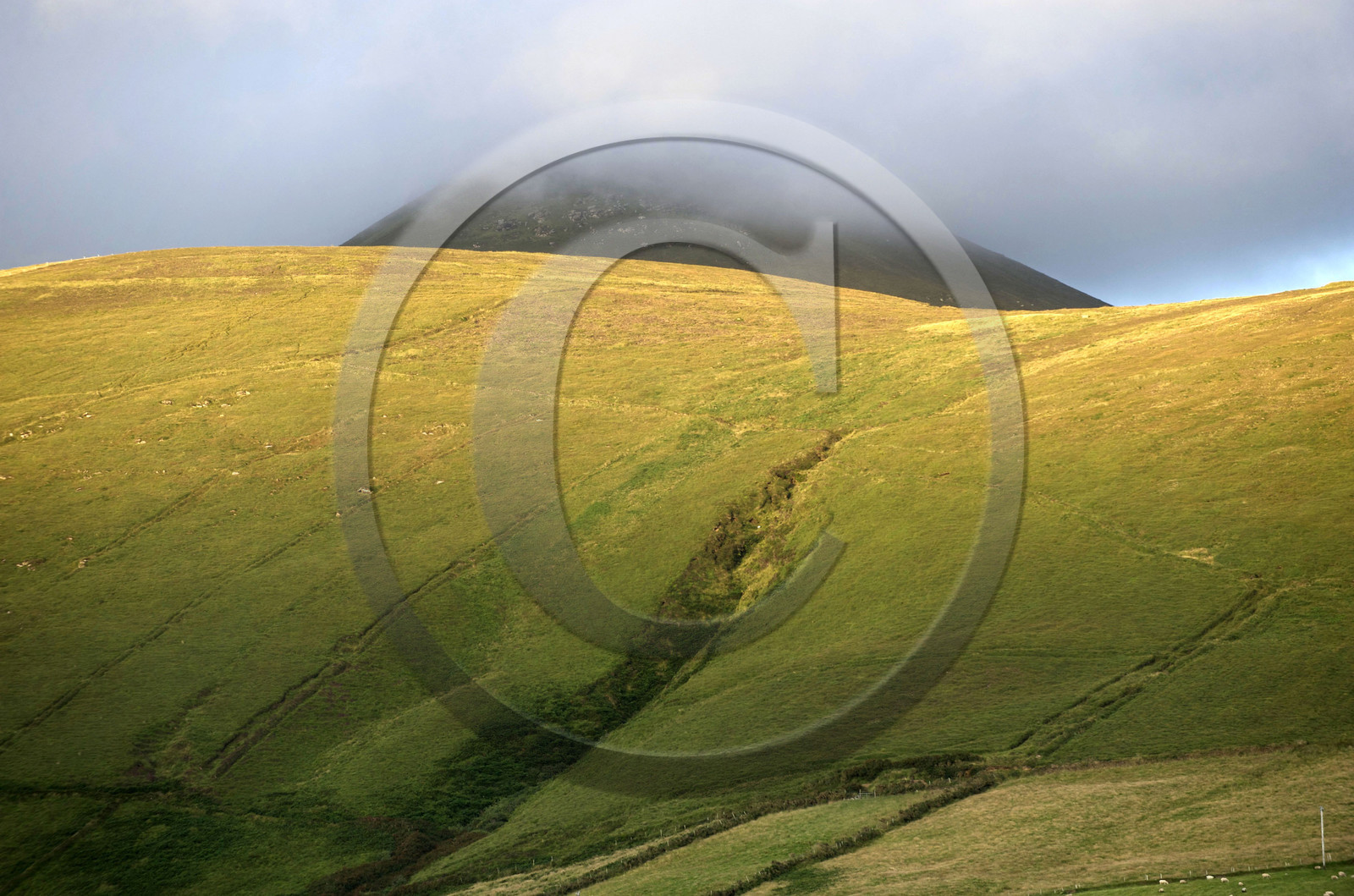Irlande, Dingle
