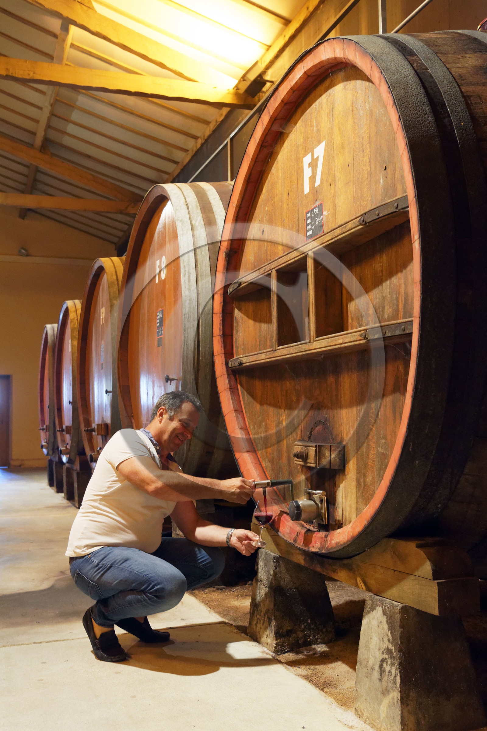 France, Suze la Rousse