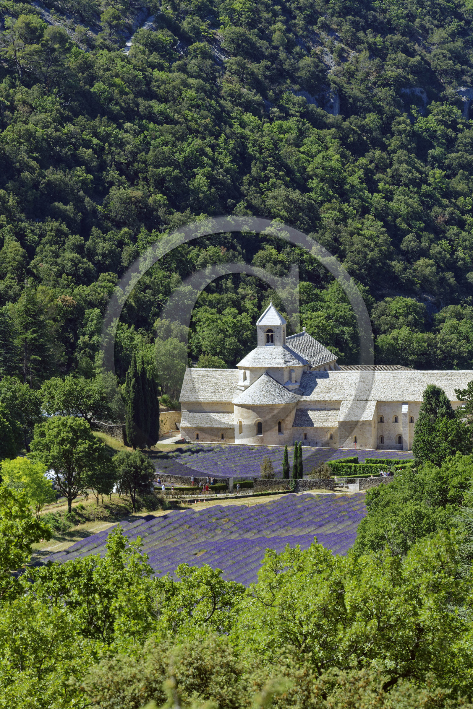 France, Senanque