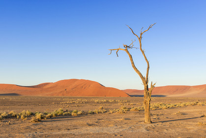 Namibie, Sossusvlei