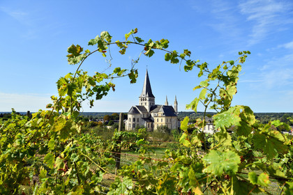 France, Boscherville