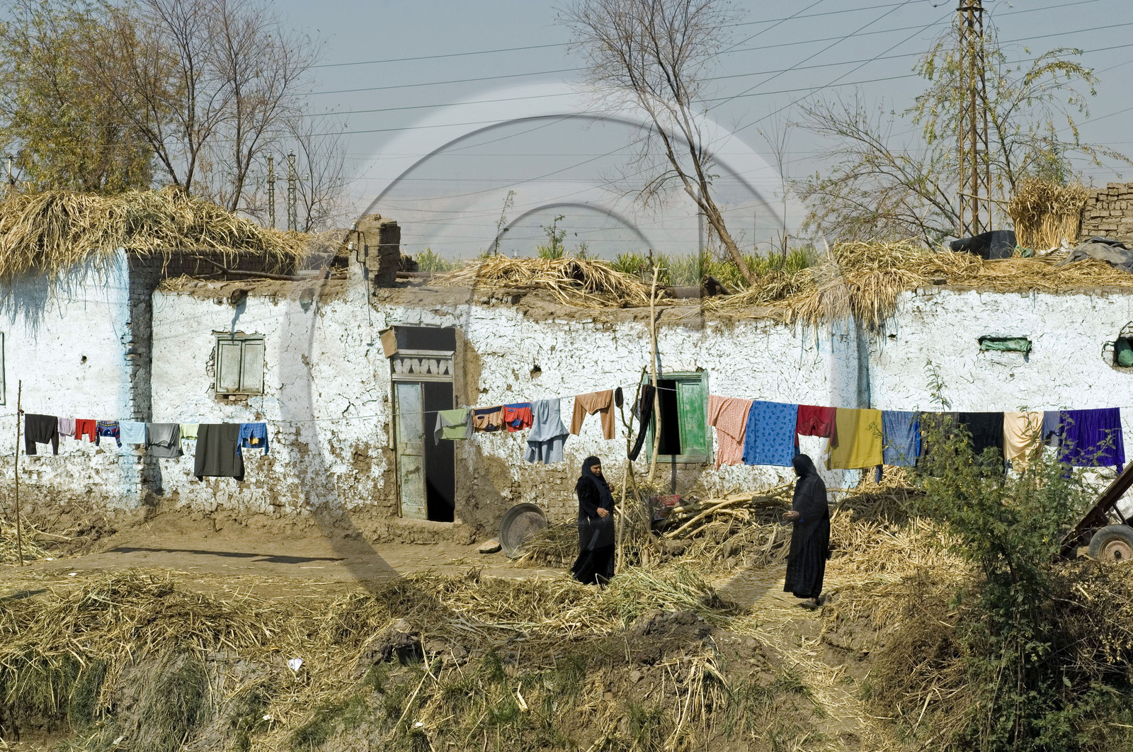 Egypte, Vallée du Nil