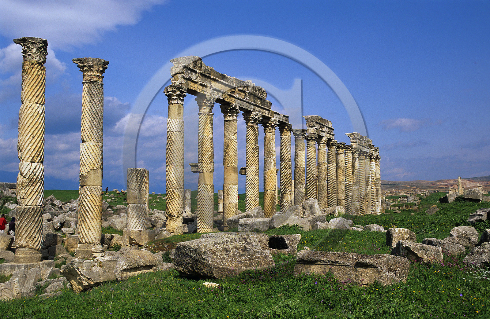 Apamée, Syrie