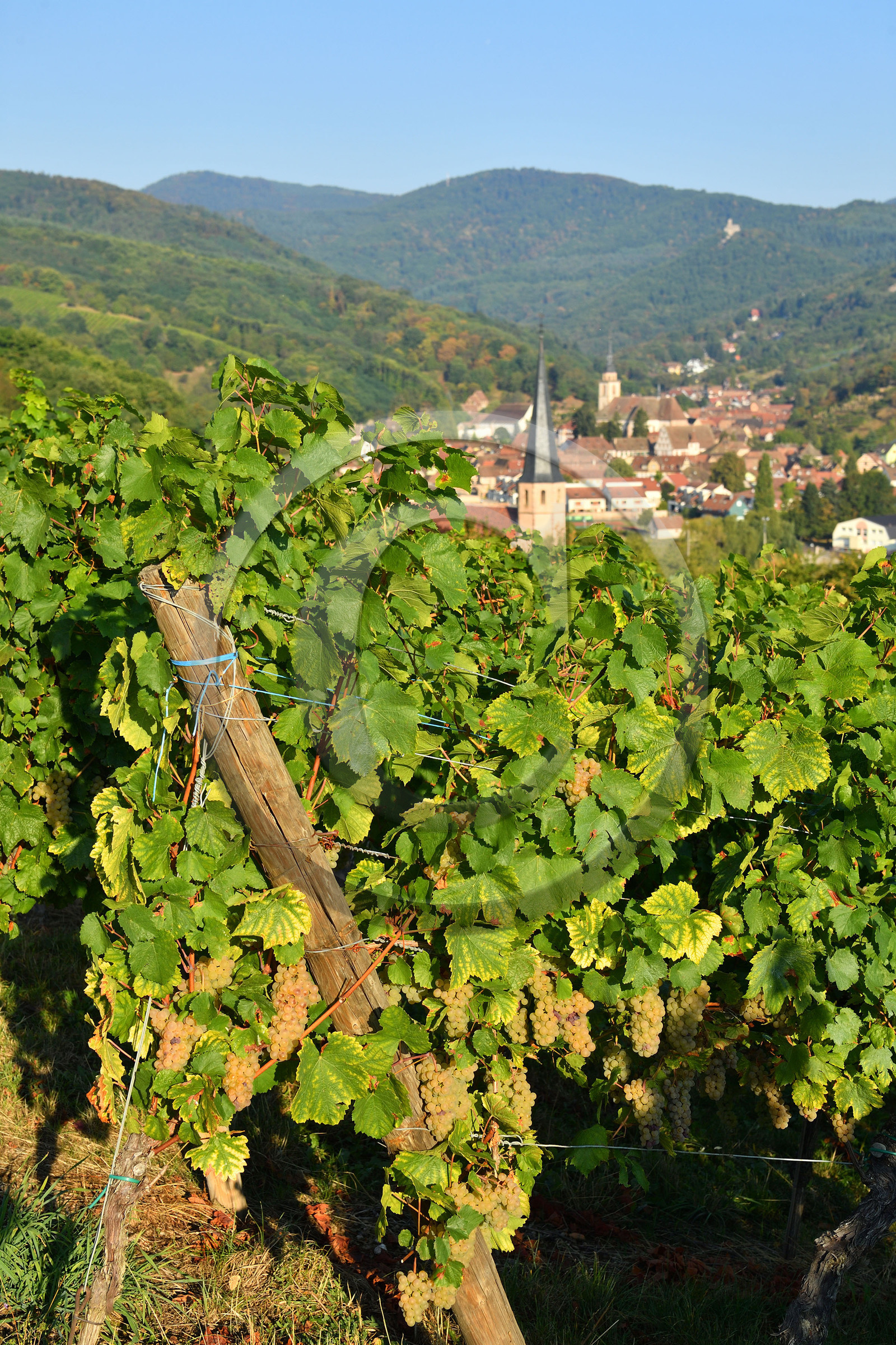 France, Alsace