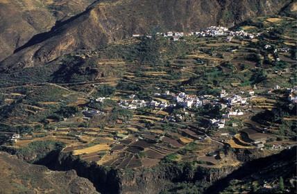 Canaries. Espagne