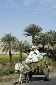 Egypte, Vallée du Nil