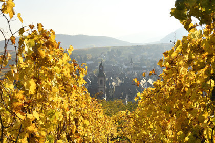 France, Riquewihr