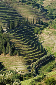 Douro, Portugal
