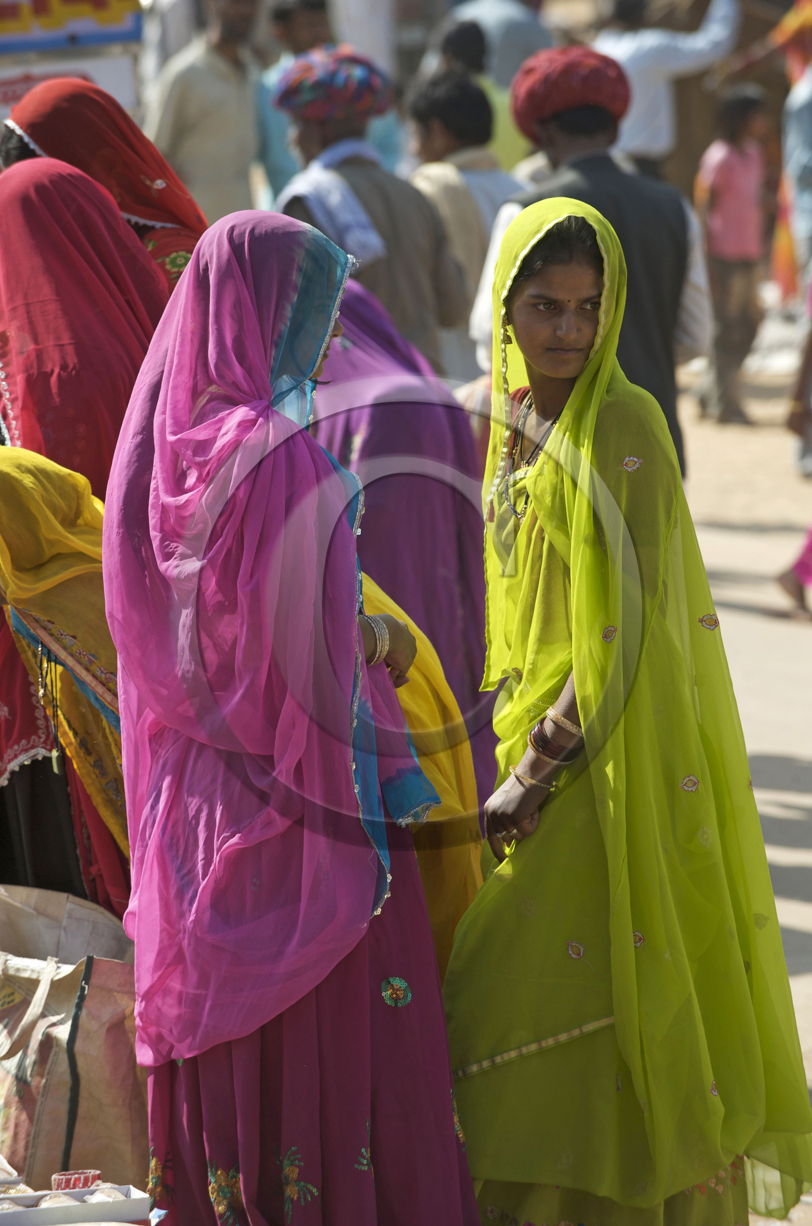 Inde, Pushkar