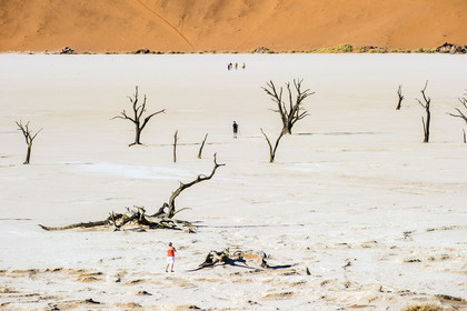 Namibie, Sossusvlei
