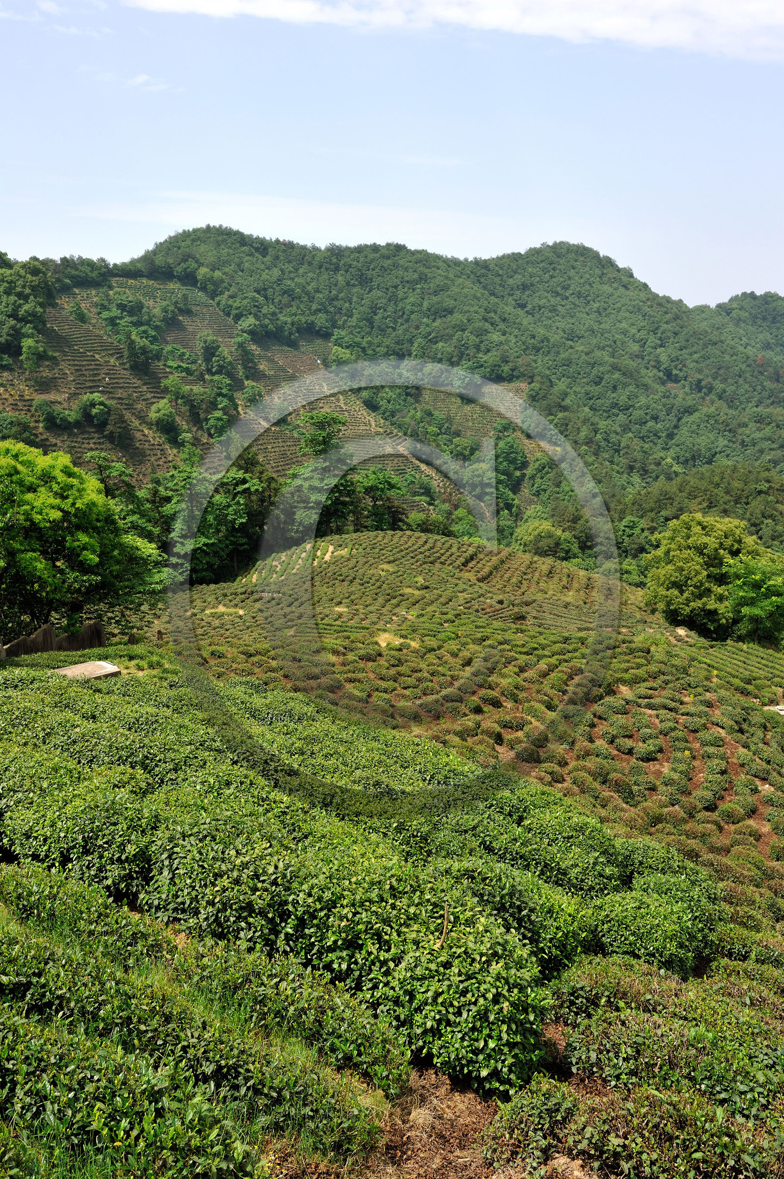 Chine, Hangzhou