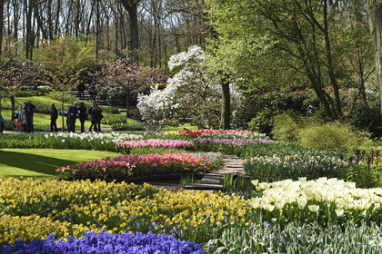 Hollande, Keukenhof