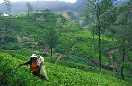 SRI LANKA