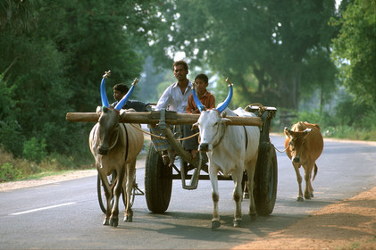 Inde du Sud