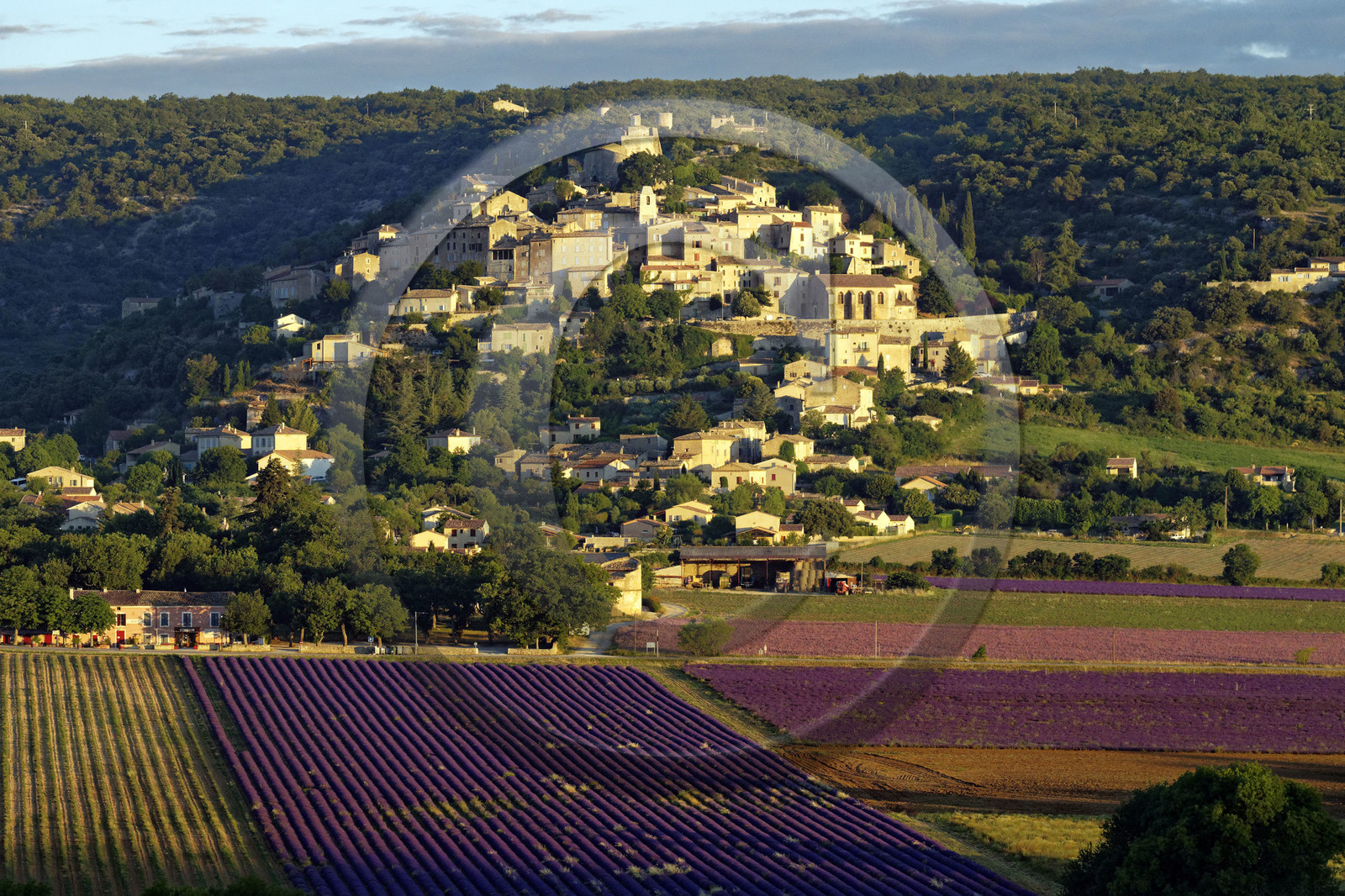 France, Simiane la Rotonde