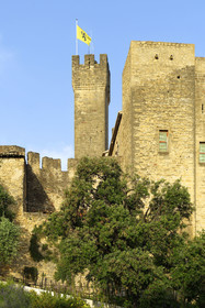 France, Salon de Provence
