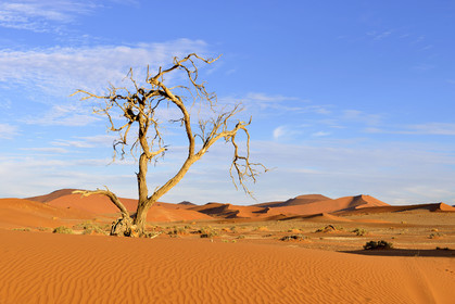 Namibie, Sossusvlei