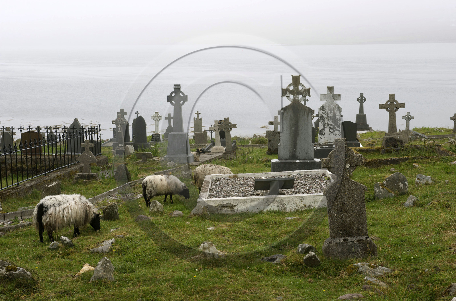 Irlande, Mayo