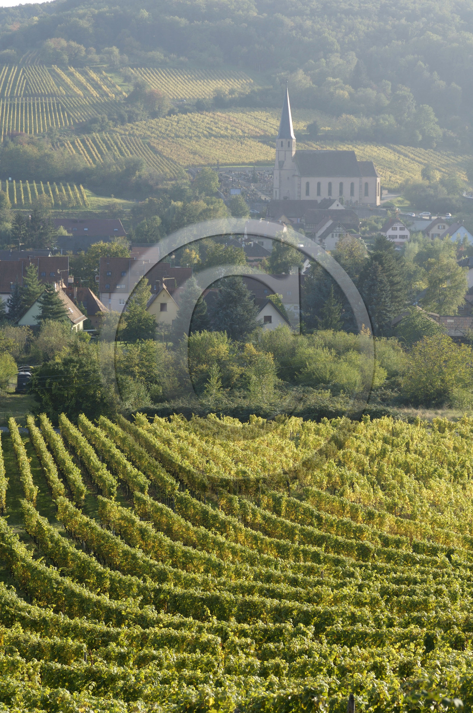 France, Alsace