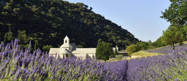 France, Senanque