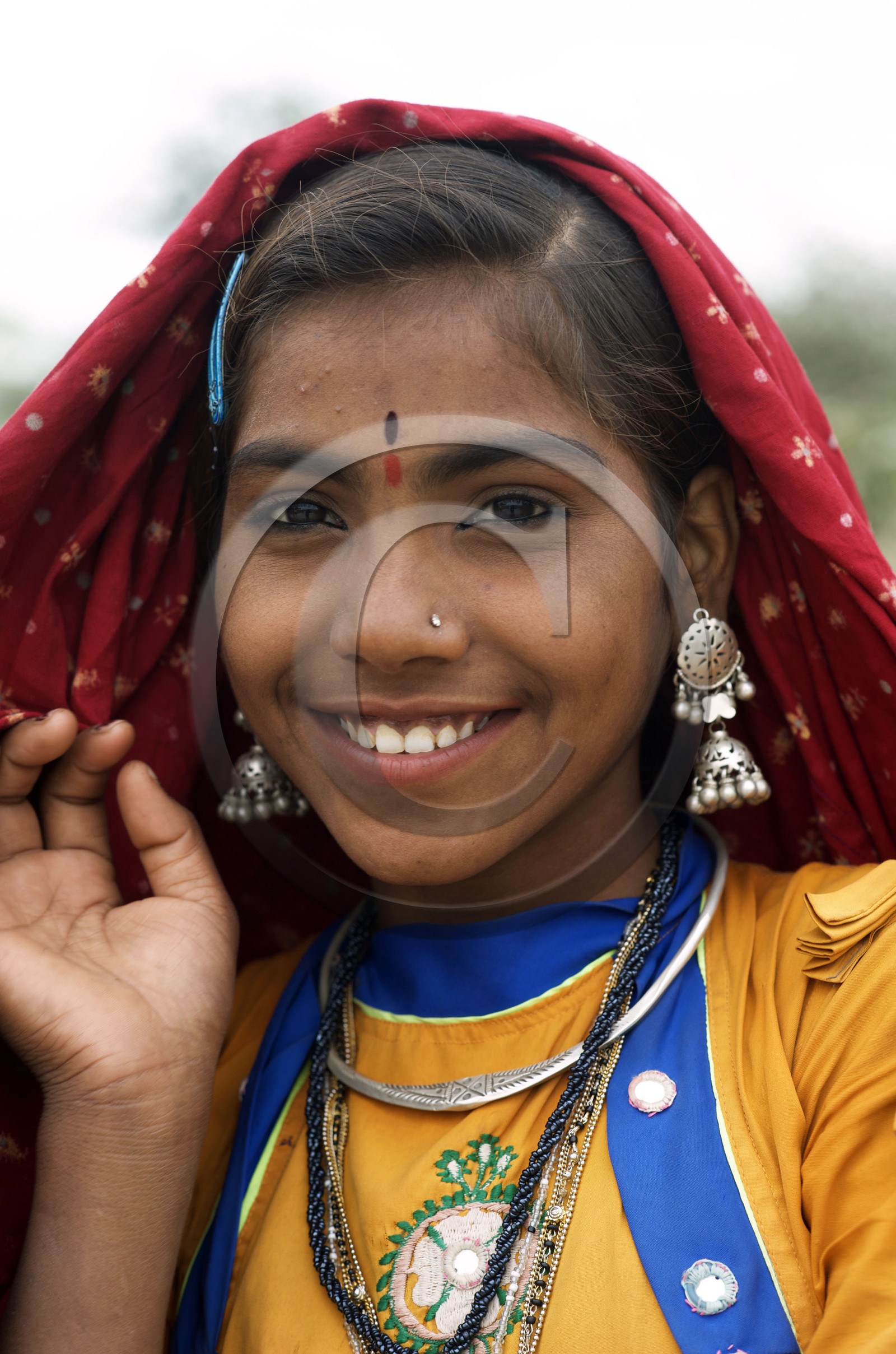 Inde, Rajasthan