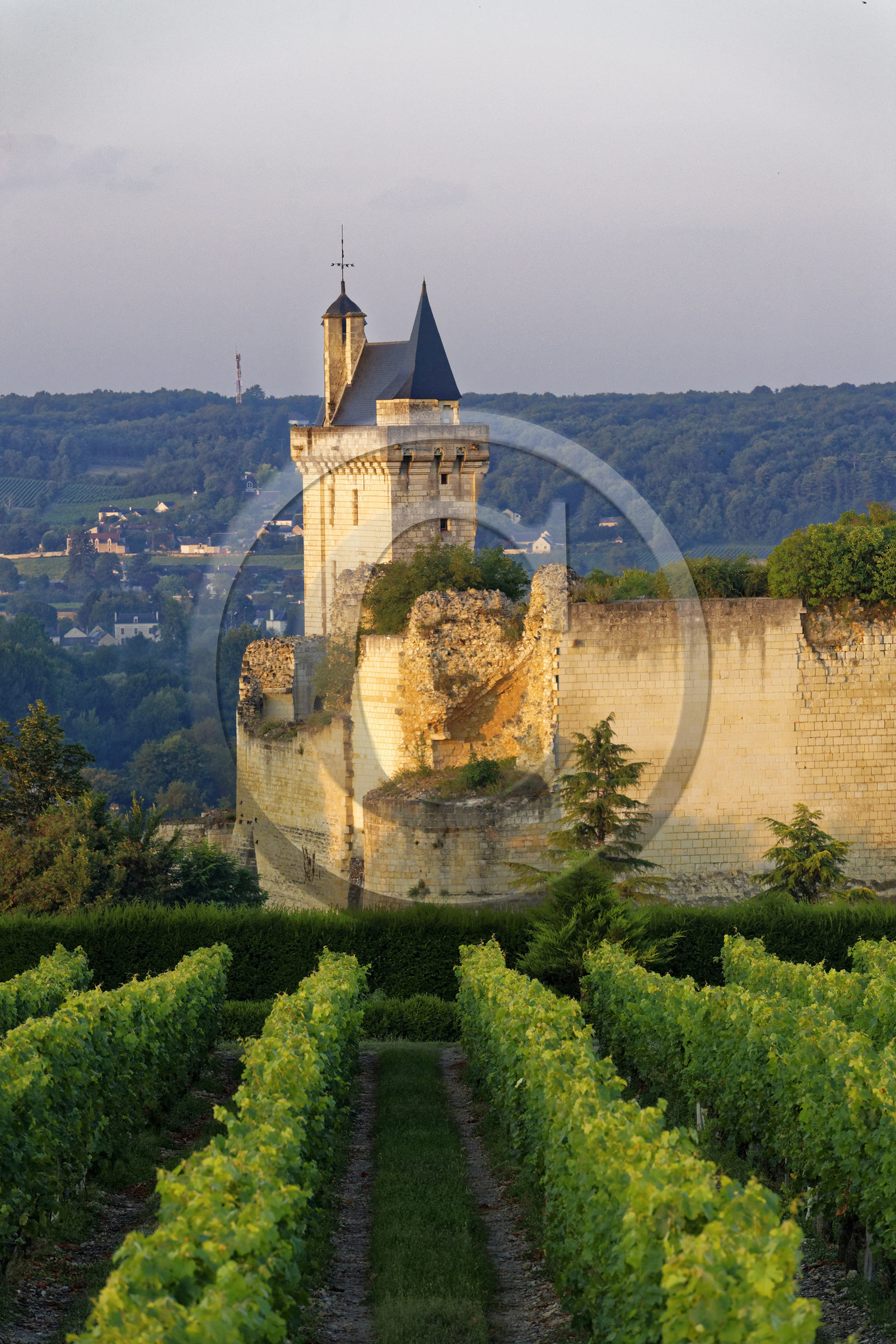 France,  Chinon