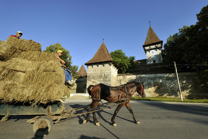 Roumanie, Cincsor