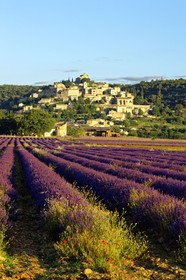 France, Simiane la Rotonde