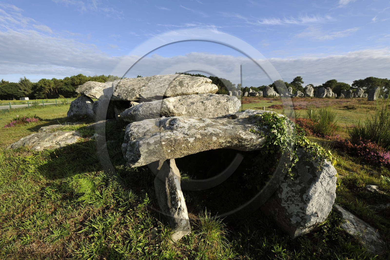 France, Carnac