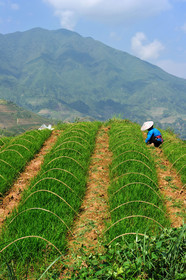Chine, Longsheng