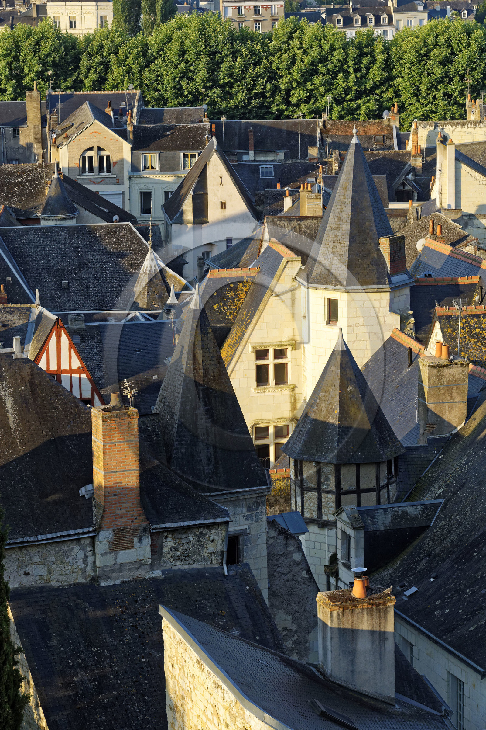 France,  Chinon