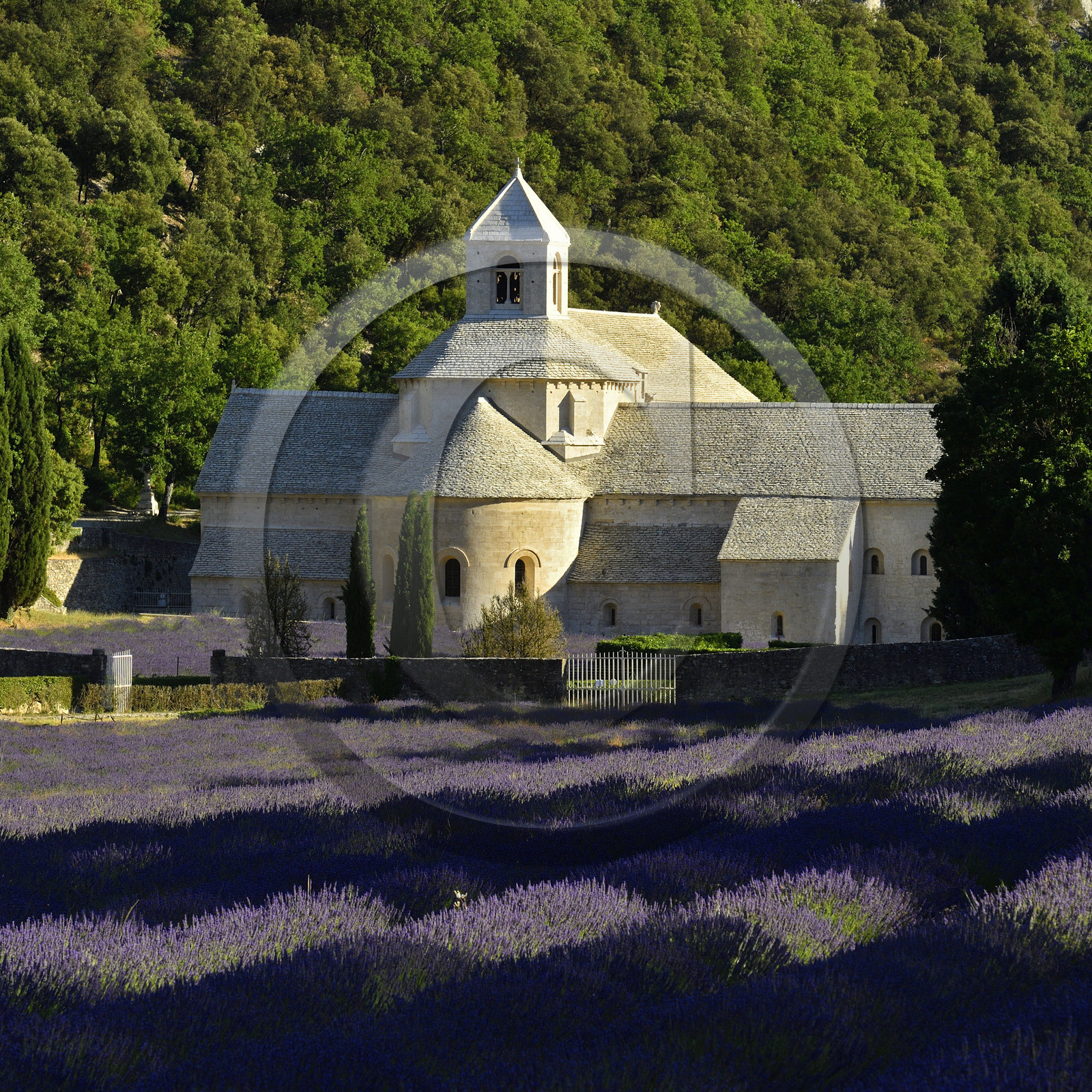 France, Senanque