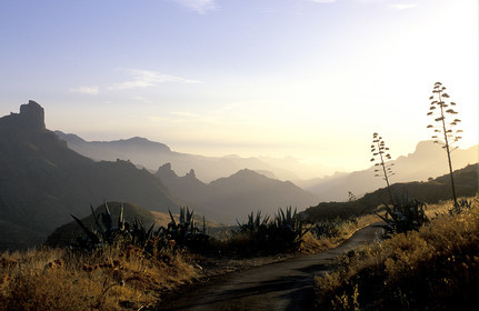 Canaries. Espagne