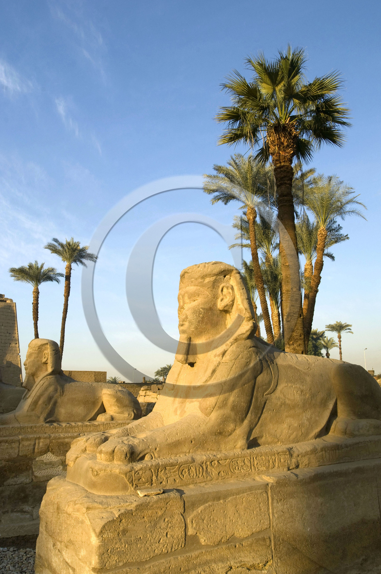Egypte, Louxor