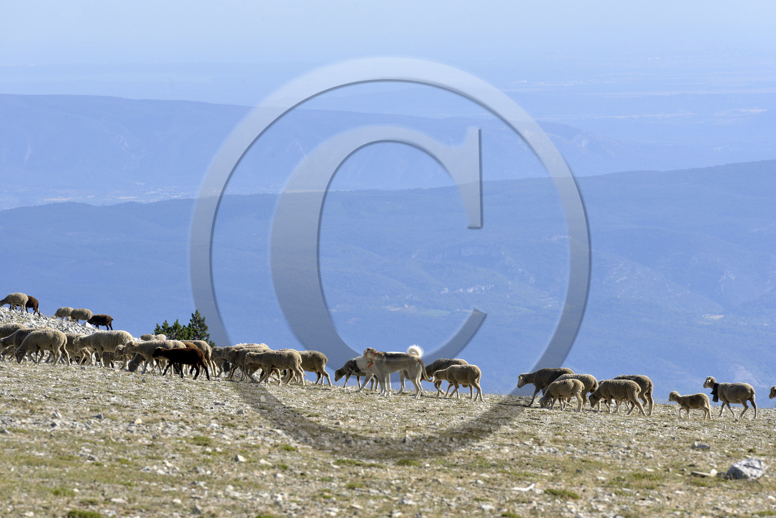 France, Ventoux