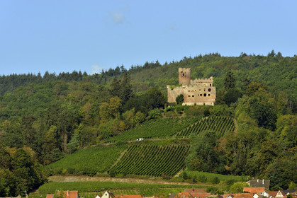 France, Kintzheim