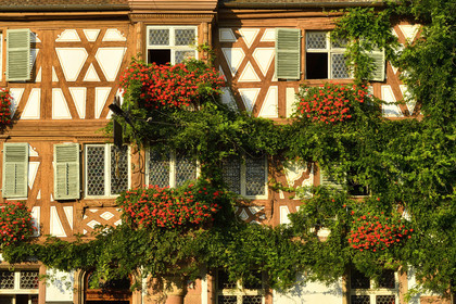 France, Turckheim