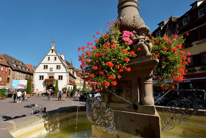 France, Obernai