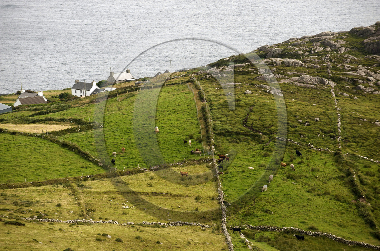 Irlande, Kerry