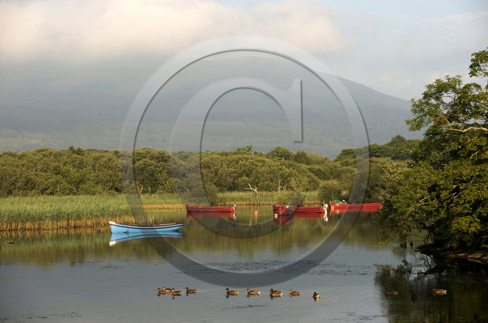 Irlande, Killarney