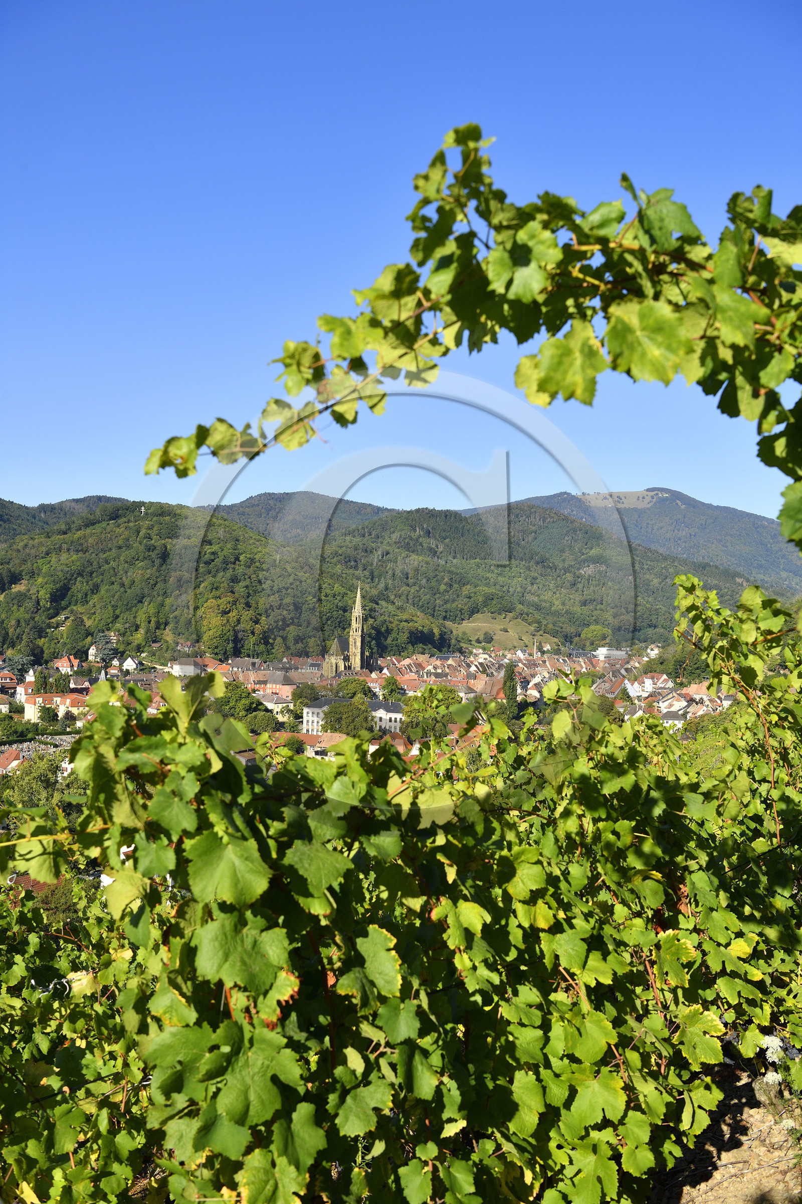 France, Thann