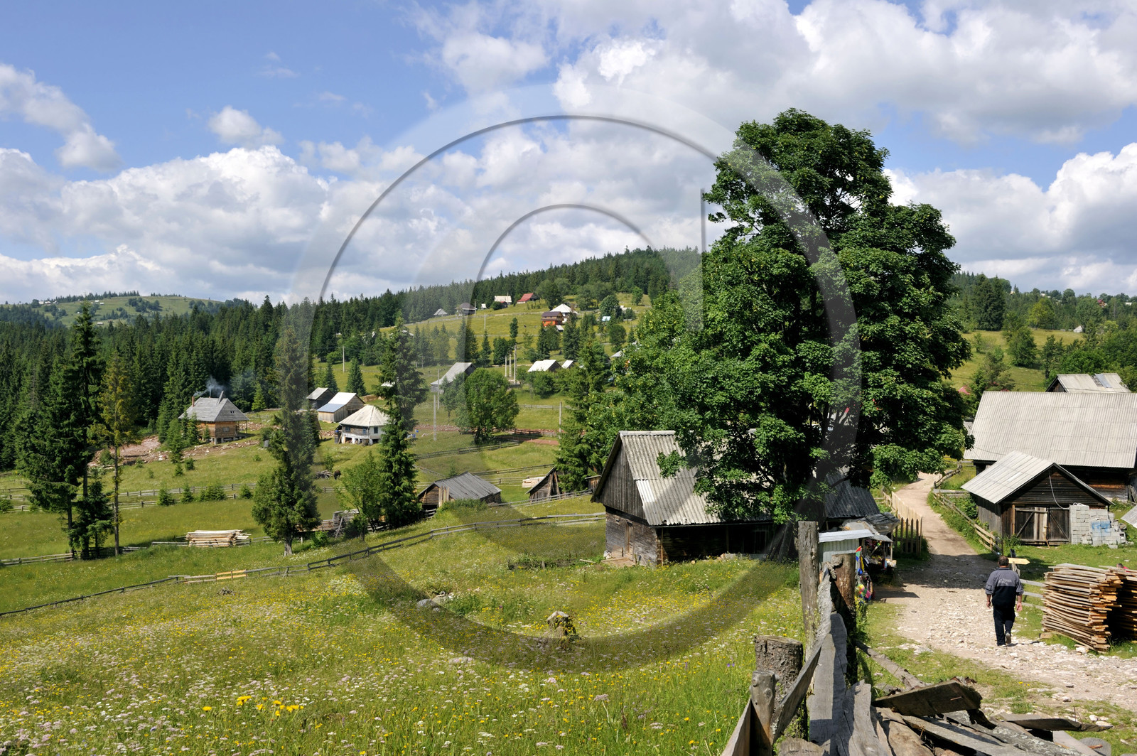 Roumanie, Apuseni