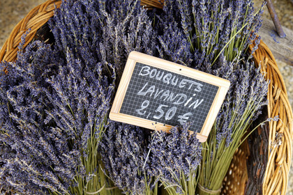 France, Mont Ventoux