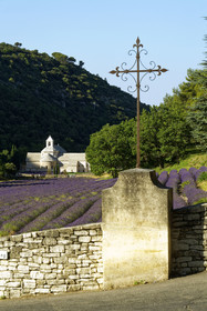 France, Senanque